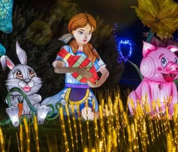 Idén is lesz Garden of Lights fénypark a Füvészkertben