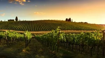 Badacsony, Kunság, Tolna - Magyarország ízletes borainak nyomában
