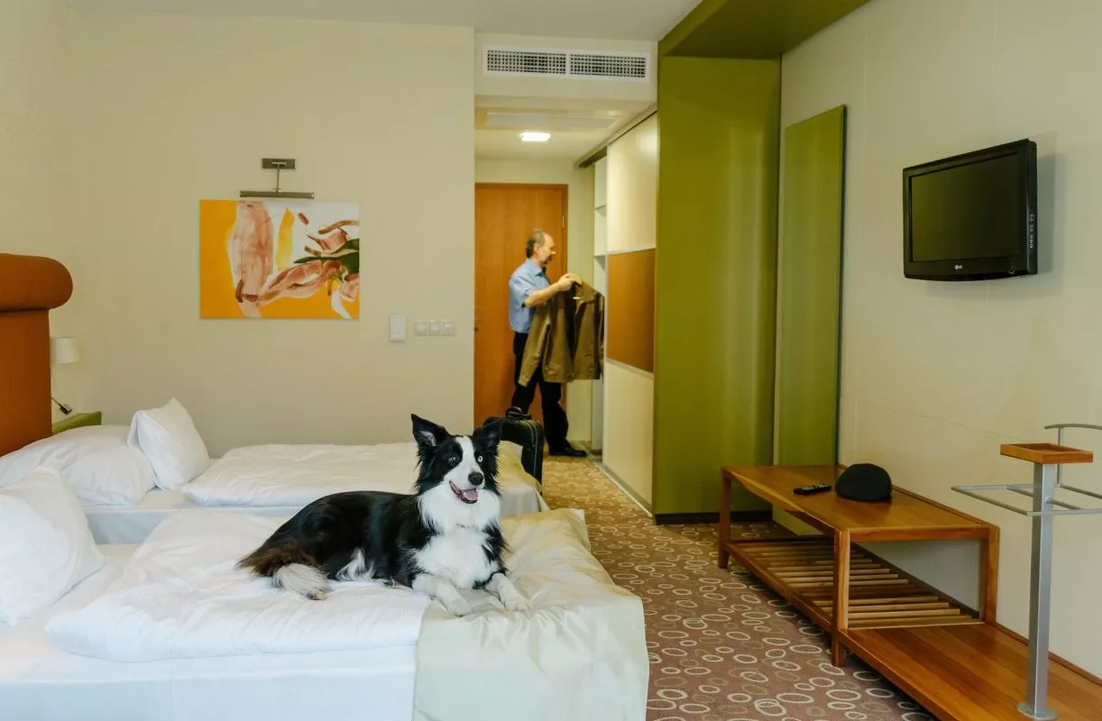 CORSO HOTEL PÉCS - a szállodában fekvőhellyel és etető- itató tálakkal várják a kisállatokat