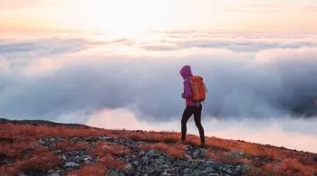 Természet. Közelben.