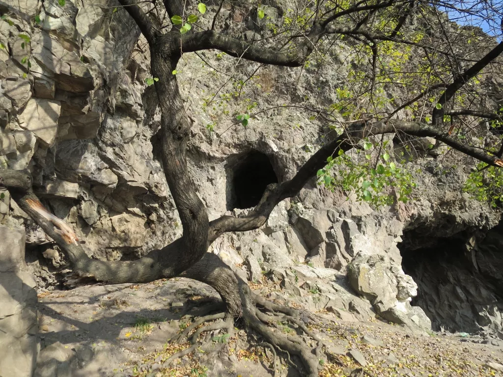 Nagymarosi Remetebarlang