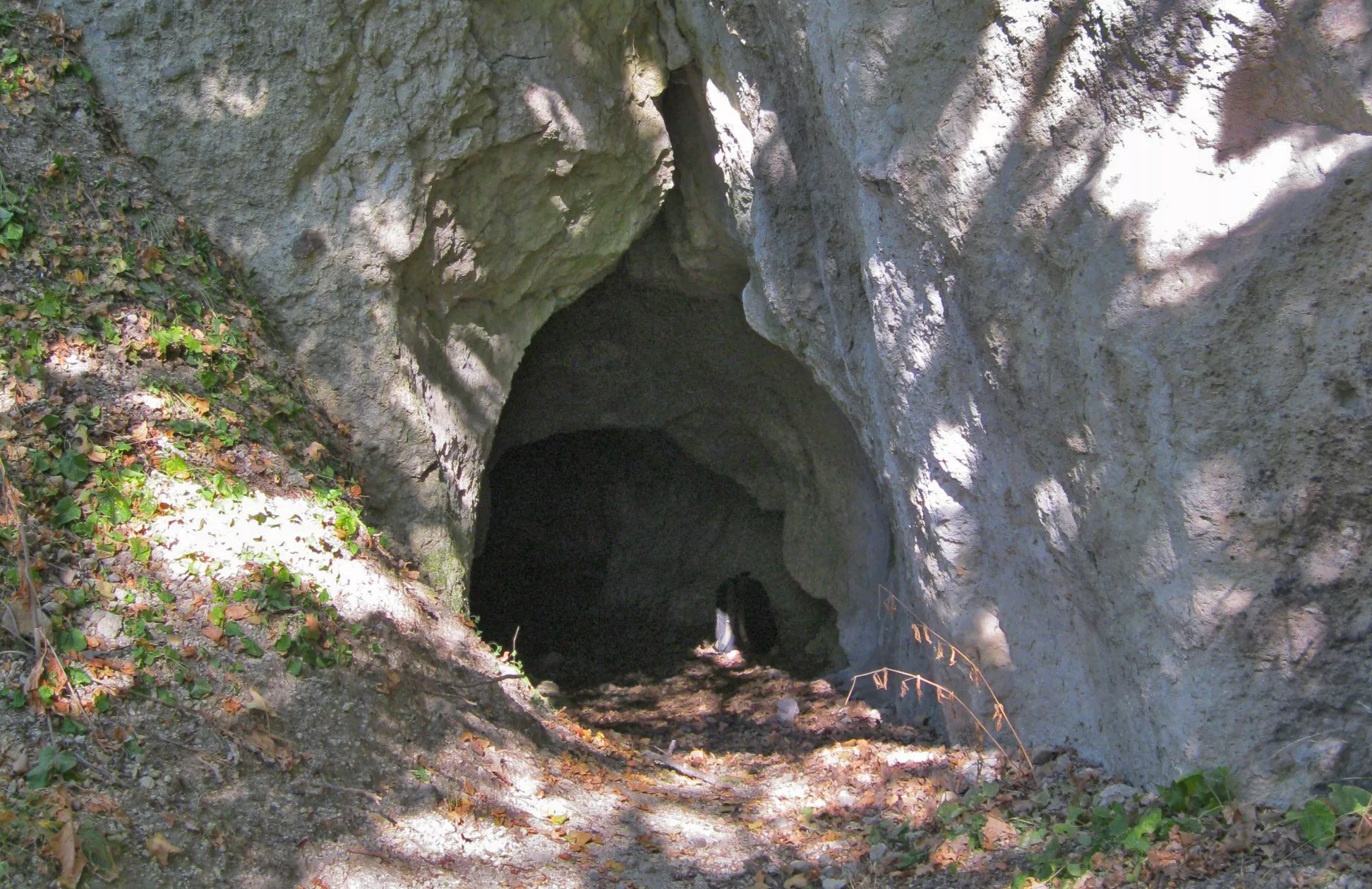 Sas-kövi-barlang
