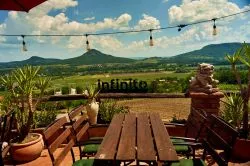 Ki rendelte a balatoni panorámát a főétel mellé?