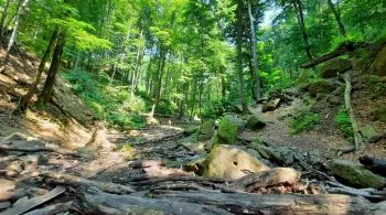 4 csodás vízesés, amit érdemes meglátogatni idén nyáron