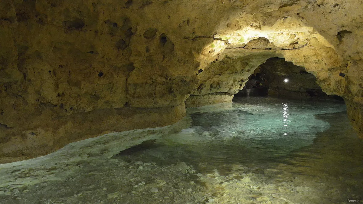 A Tapolcai-tavasbarlang a Tapolcai-barlangrendszer egyik része, és egyben az ország egyik leglátogatottabb barlangja.