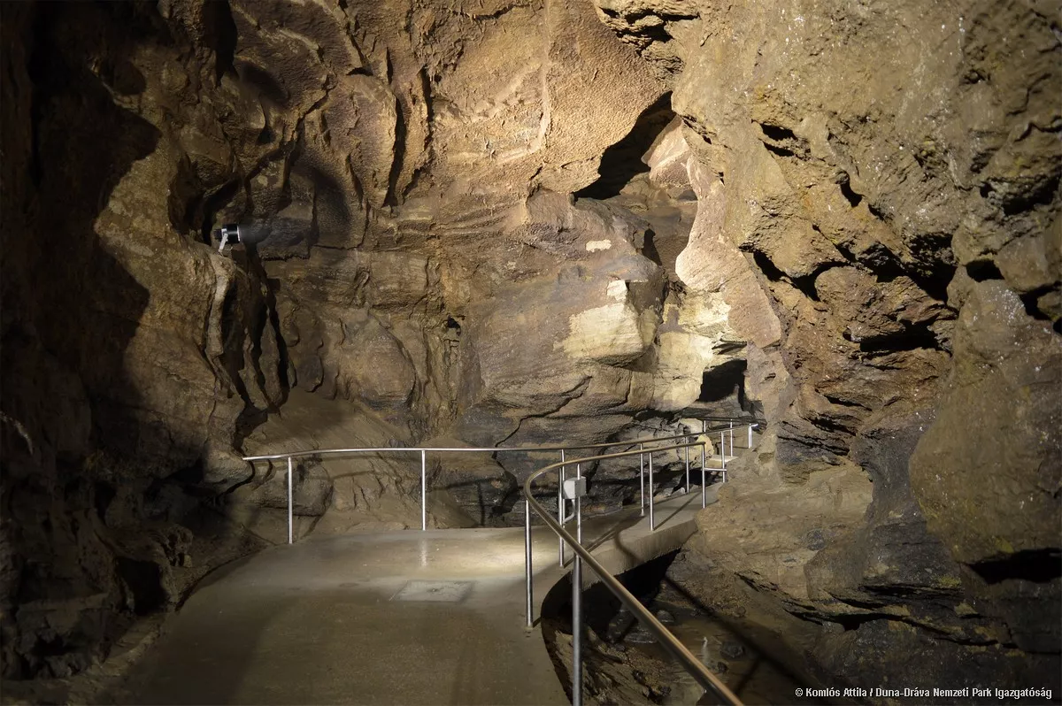 Az Abaligeti-barlang a Mecsek hegység leghosszabb, patakos barlangja. A barlang és egyhektáros felszíni területe 1982 óta fokozottan védett természeti érték.