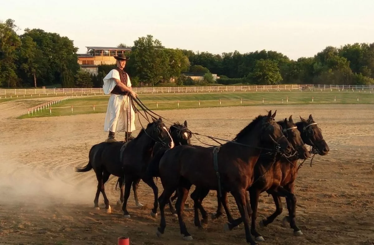  Gasztro Élménybirtok Panzió***, Balatonlelle - Top 12 vidéki szálloda és vendégház, ahol lehet lovagolni