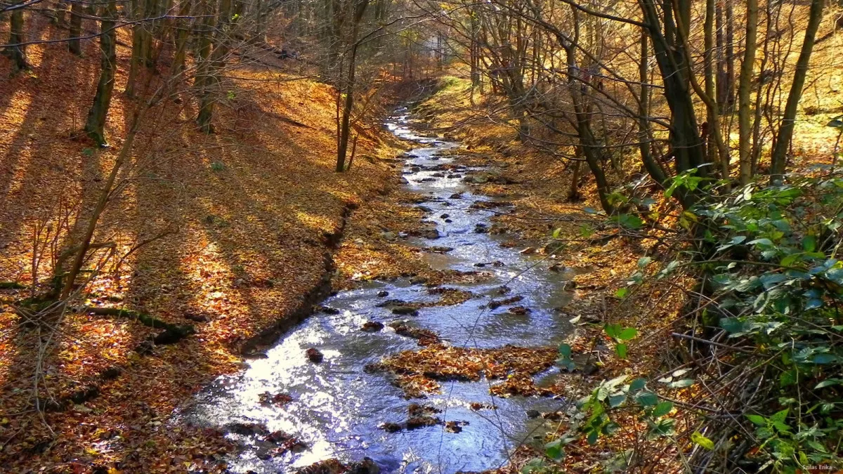 A Óbányai-völgyet ősszel is érdemes felkeresni
