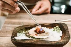 Két új Michelin-csillagos étterme van Magyarországnak!