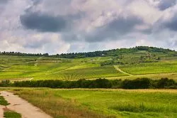 Felejthetetlen élmények a szőlőtőkék árnyékában: látnivalók Tokajban