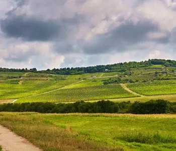 Felejthetetlen élmények a szőlőtőkék árnyékában: látnivalók Tokajban