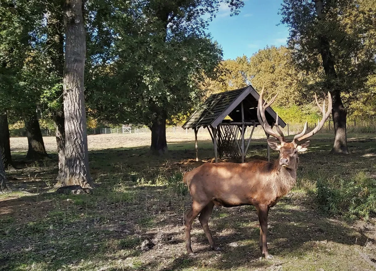 Fotó: Baricz Árpád / Gemenc Zrt.