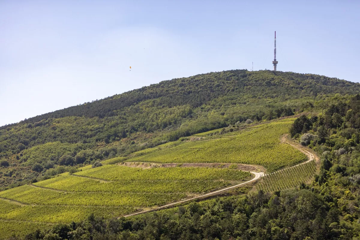 Tokaji TV-torony