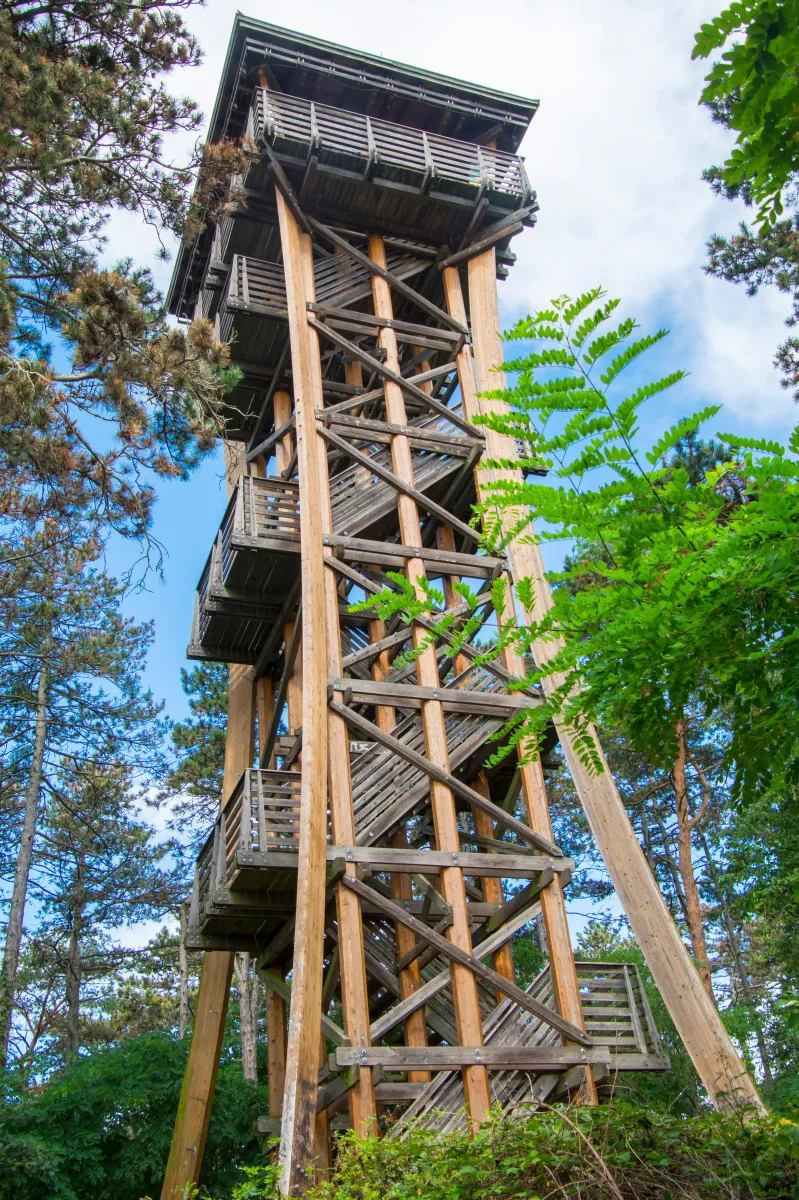 A Lövér Uszodához közel áll a Sörházdombi kilátó, pazar kilátással a városra