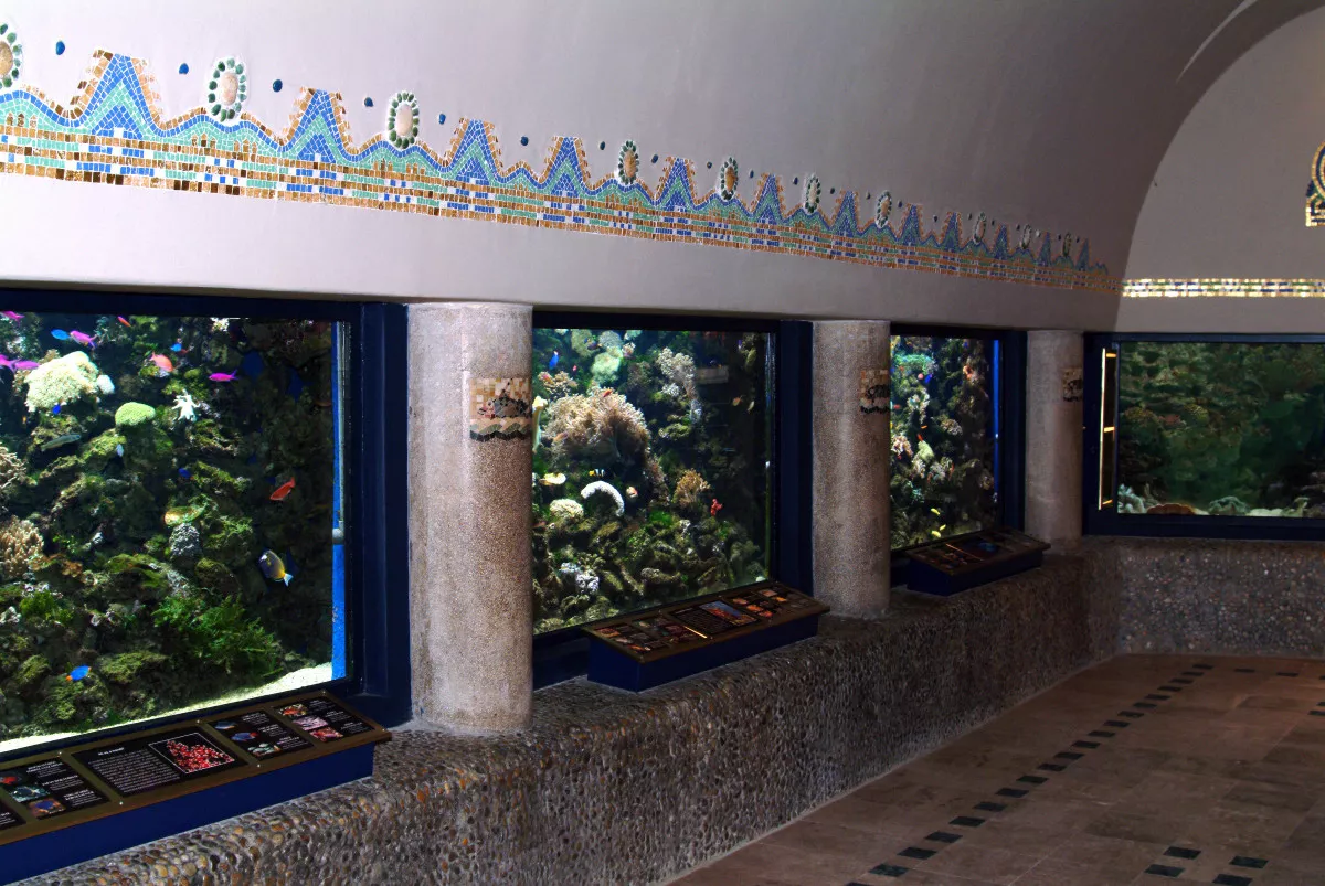 Fővárosi Állatkert akváriuma