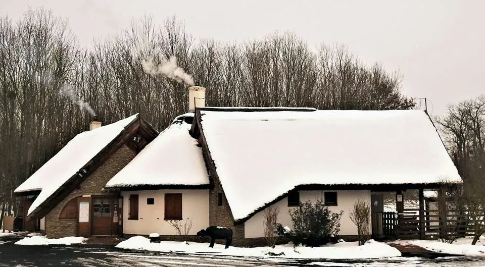 Kápolnapusztai Bivalyrezervátum, Fotó: Fejes Éva