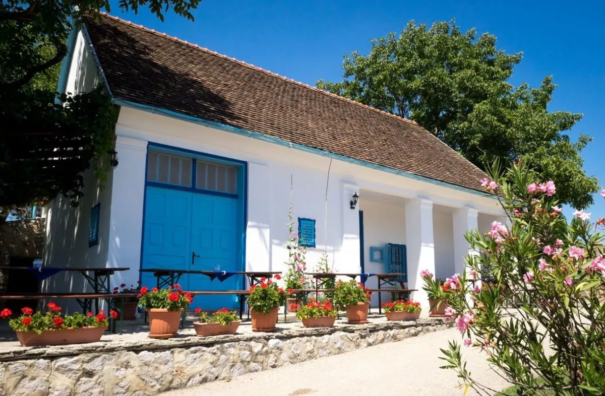 Háztáji reggelik, dézsafürdők és kenuzás: elbűvölő vidéki vendégházak Magyarországon