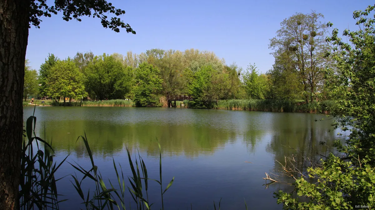 Legszebb kirándulóhelyek Magyarországon tavasszal - sárvári Csónakázó-tó