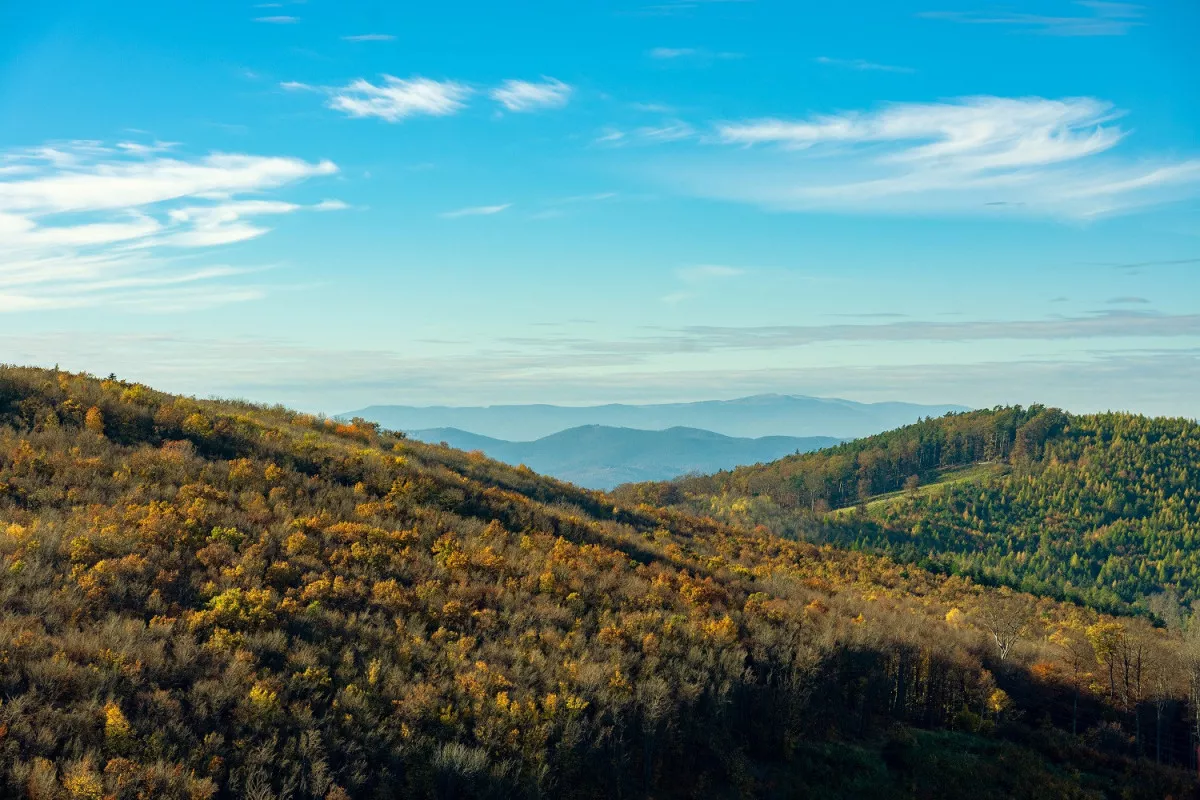 Legszebb kirándulóhelyek Magyarországon tavasszal - Kőszegi-hegység