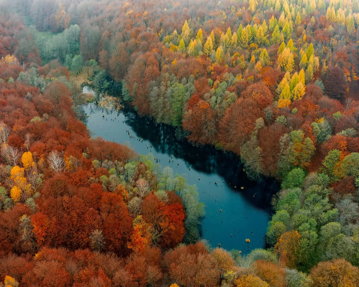 Tavaszi kirándulóhelyek hétvégi kimozduláshoz - Bakonyi Gyilkos-tó