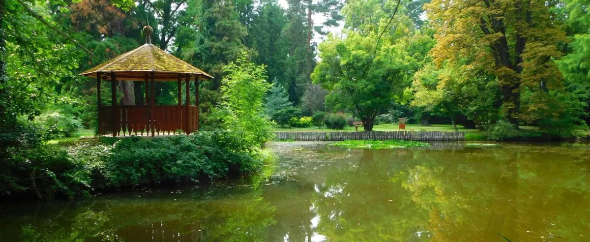 Felfedezésre váró mesés kirándulóhelyek - Kámoni Arborétum