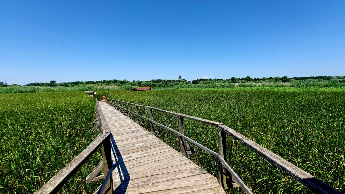 Lenyűgöző tanösvények Magyarországon - Tisza-tavi vízi sétány / Kép:Hortobágyi Nemzeti Park Igazgatóság