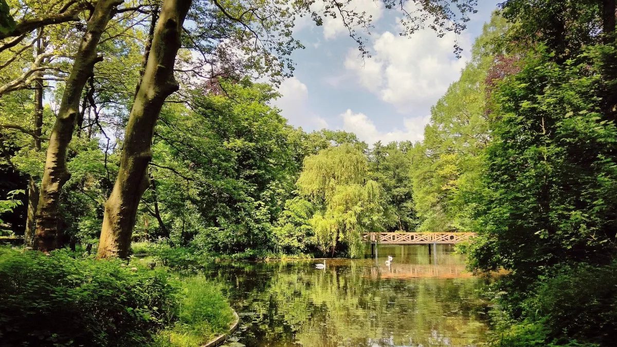 10 vonzó úti cél a tökéletes tavaszi kiránduláshoz - Alcsúti Arborétum, Alcsútdoboz