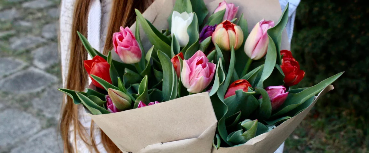 5 csodálatos tulipános kert Magyarországon - Kőröshegyi Tulipánszüret