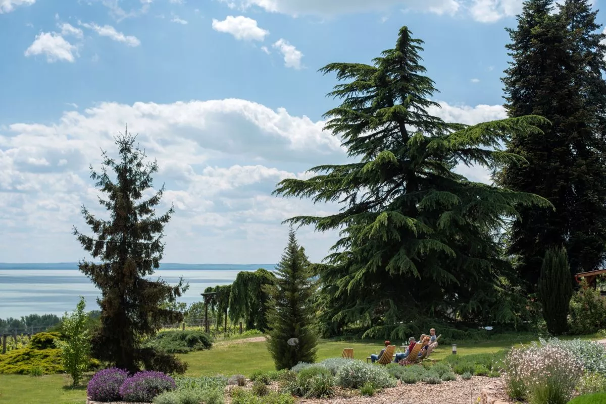 Badacsony látnivalók - Folly Arborétum és Borászat