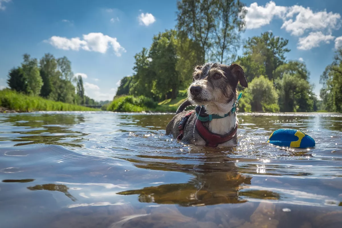 A legizgalmasabb programok és látnivalók a Tisza-tó környékén