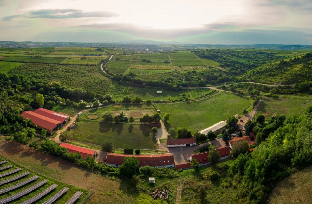 Gyerekbarát vidéki szálláshely kültéri játszótérrel - Mátyus Udvarház, Eger