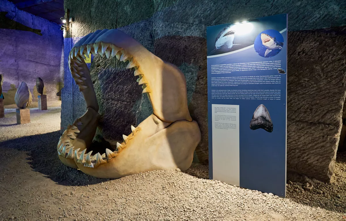 Fertőrákosi Kőfejtő és Barlangszínház - hatalmas őscápa állkapocs a Fertőrákosi Kőfejtő és Barlangszínház Témaparkjában