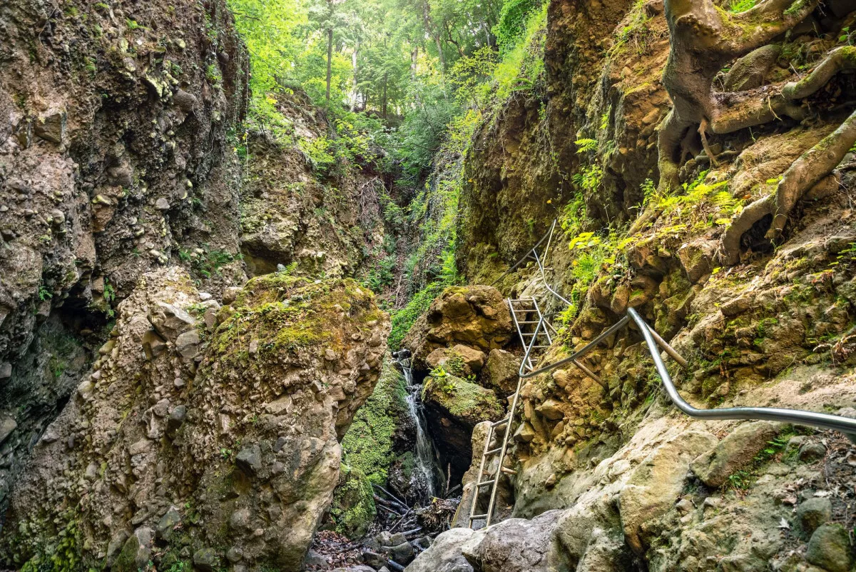 6 vadregényes szurdokvölgy, amitől tátva marad a szátok - Rám-szakadék