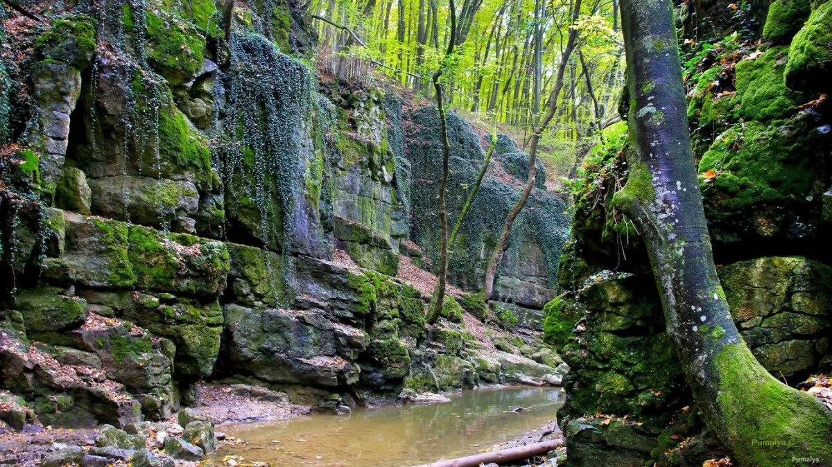 6 vadregényes szurdokvölgy, amitől tátva marad a szátok - Gaja-szurdok, fotó: Pumalya