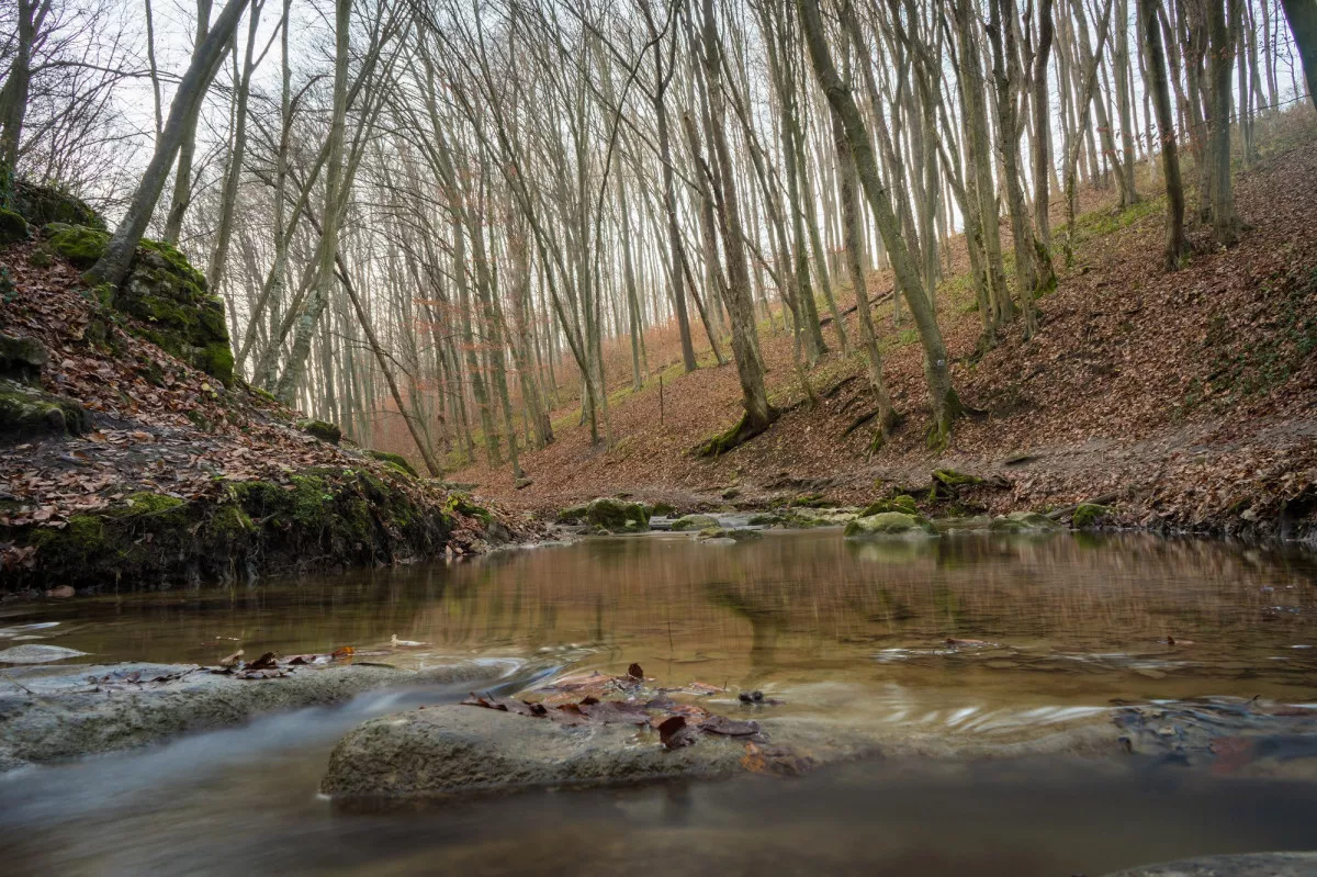 6 vadregényes szurdokvölgy, amitől tátva marad a szátok - Gaja-szurdok