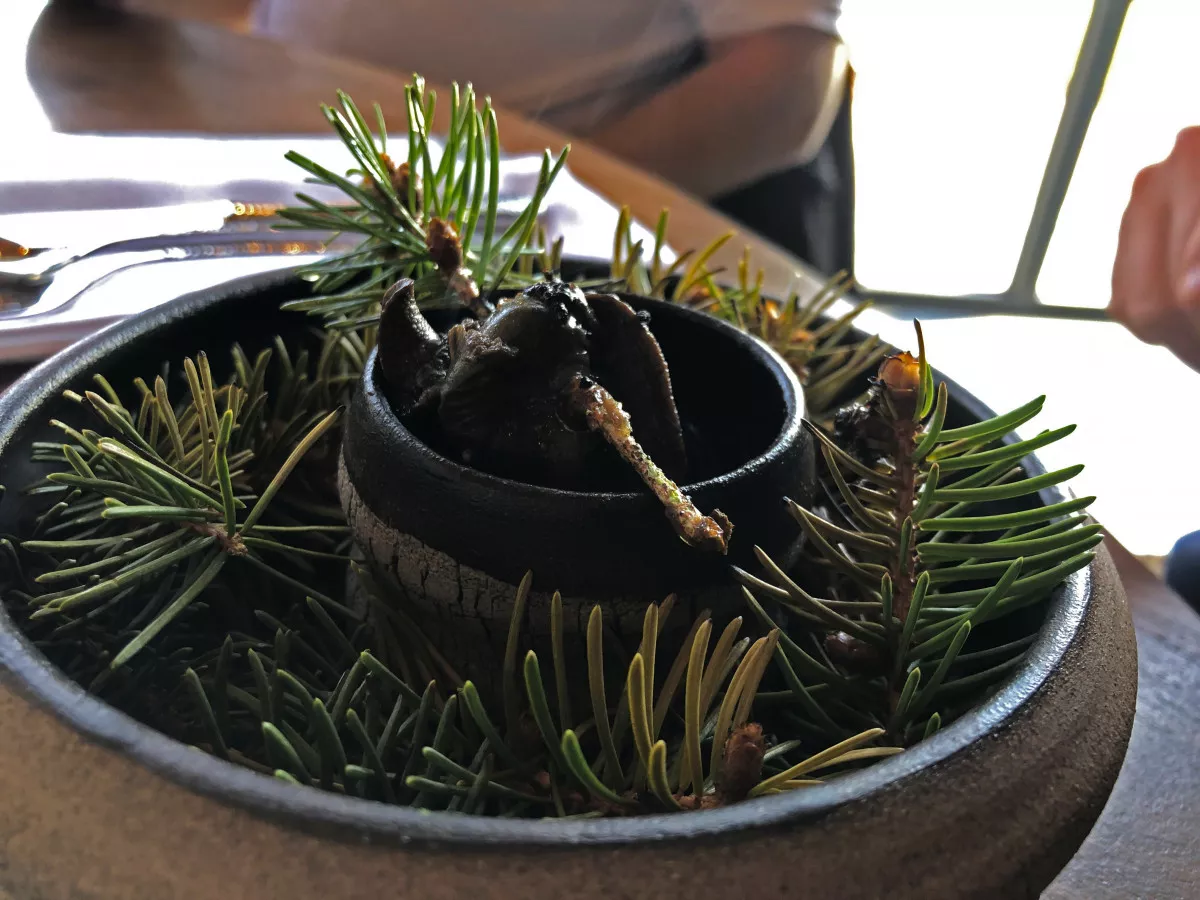 Éti csiga, fenyőgőz, yuzu, fekete fokhagyma - Góré Restaurant Kisharsány