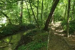 Megújult a vadregényes Szent László tanösvény Mogyoródon