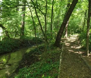 Megújult a vadregényes Szent László tanösvény Mogyoródon