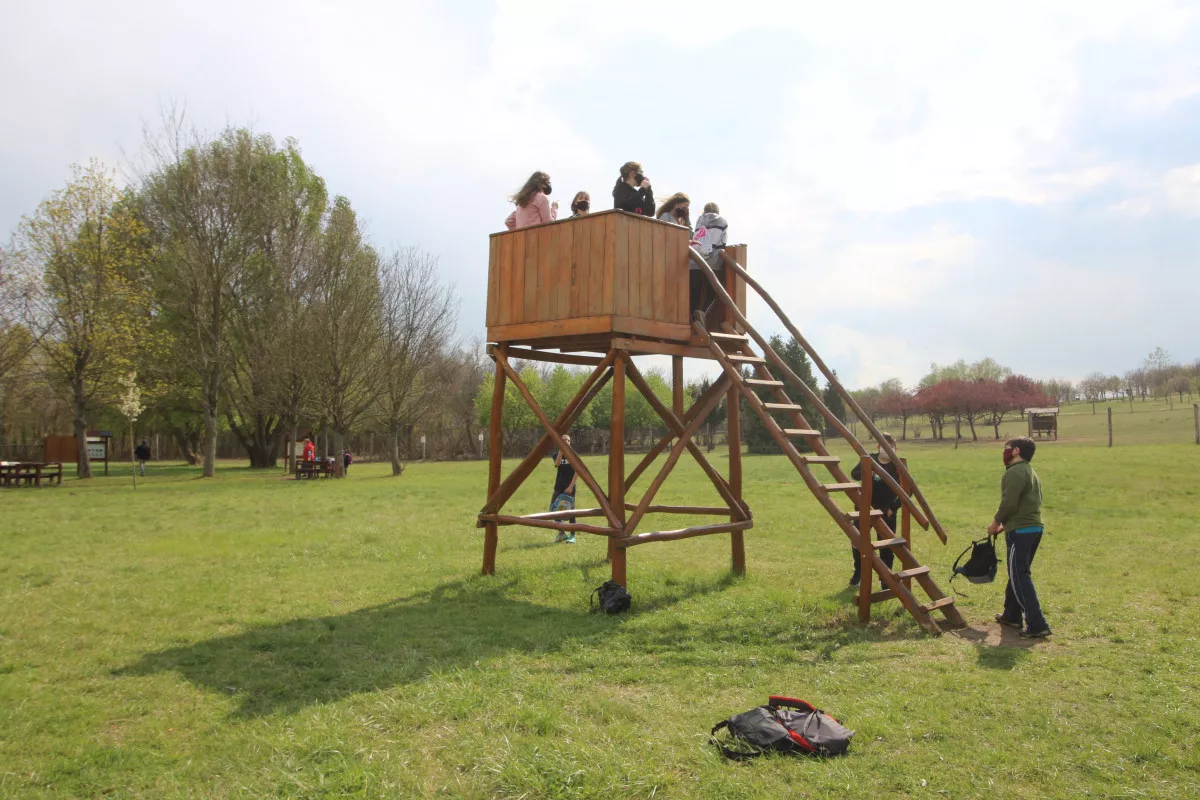 Pákozdi Pagony Arborétum és Vadaspark, Sukoró / Kép: VADEX Mezőföldi Erdő- és Vadgazdálkodási Zrt.