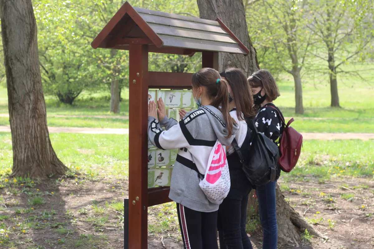 Pákozdi Pagony Arborétum és Vadaspark, Sukoró / Kép: VADEX Mezőföldi Erdő- és Vadgazdálkodási Zrt.