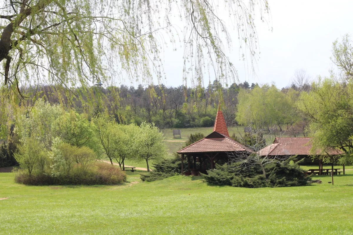 Pákozdi Pagony Arborétum és Vadaspark, Sukoró / Kép: VADEX Mezőföldi Erdő- és Vadgazdálkodási Zrt.