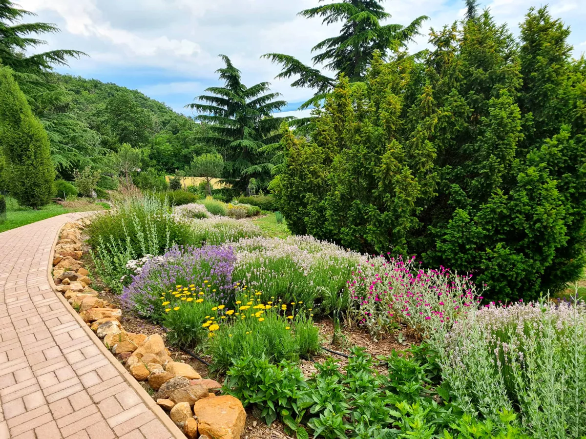 Kirándulás és látnivalók a Balaton-felvidéken - Folly Arborétum és Borászat Badacsonyörs