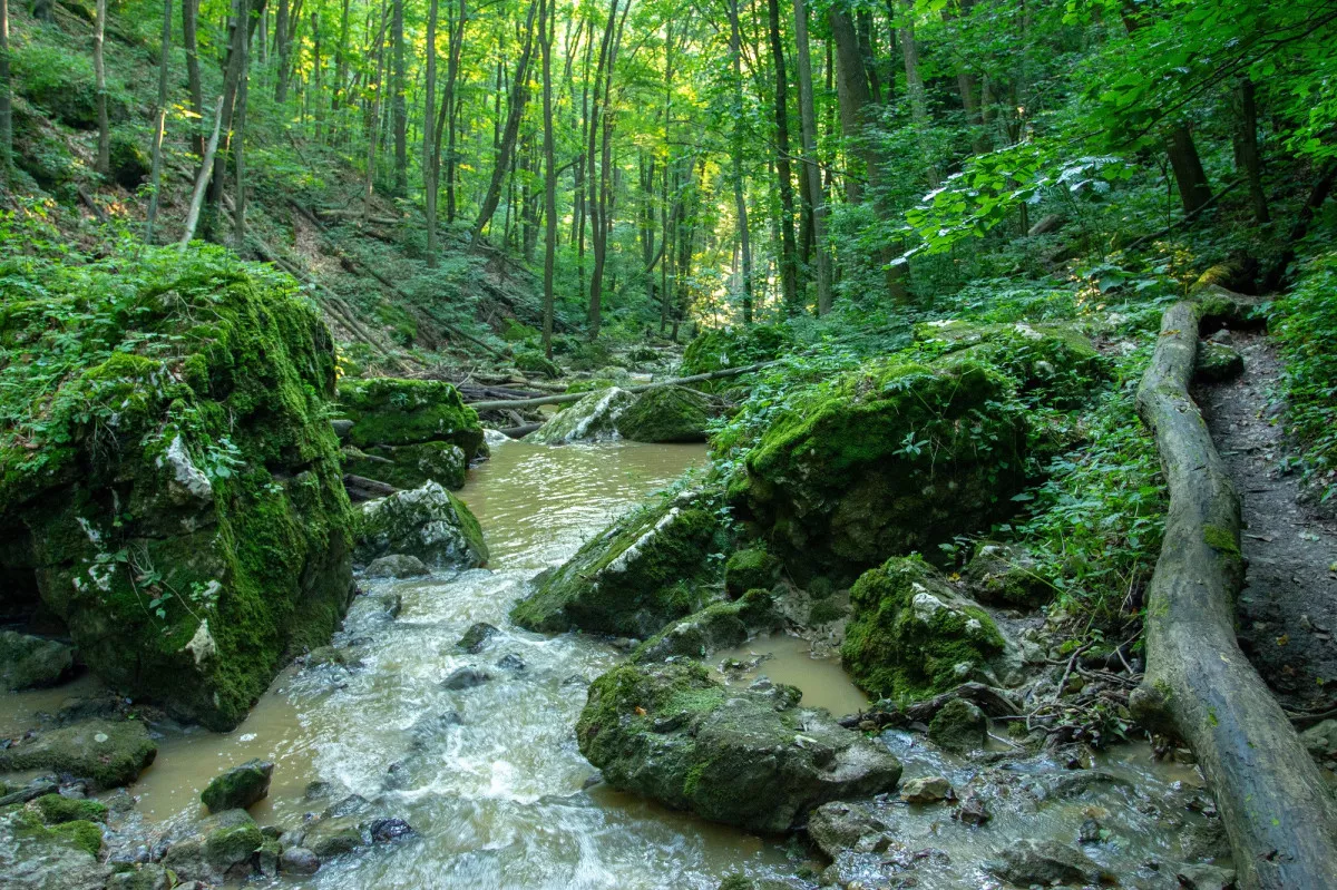 Magyarország rejtett természeti kincsei és kirándulóhelyei - Gerence-patak