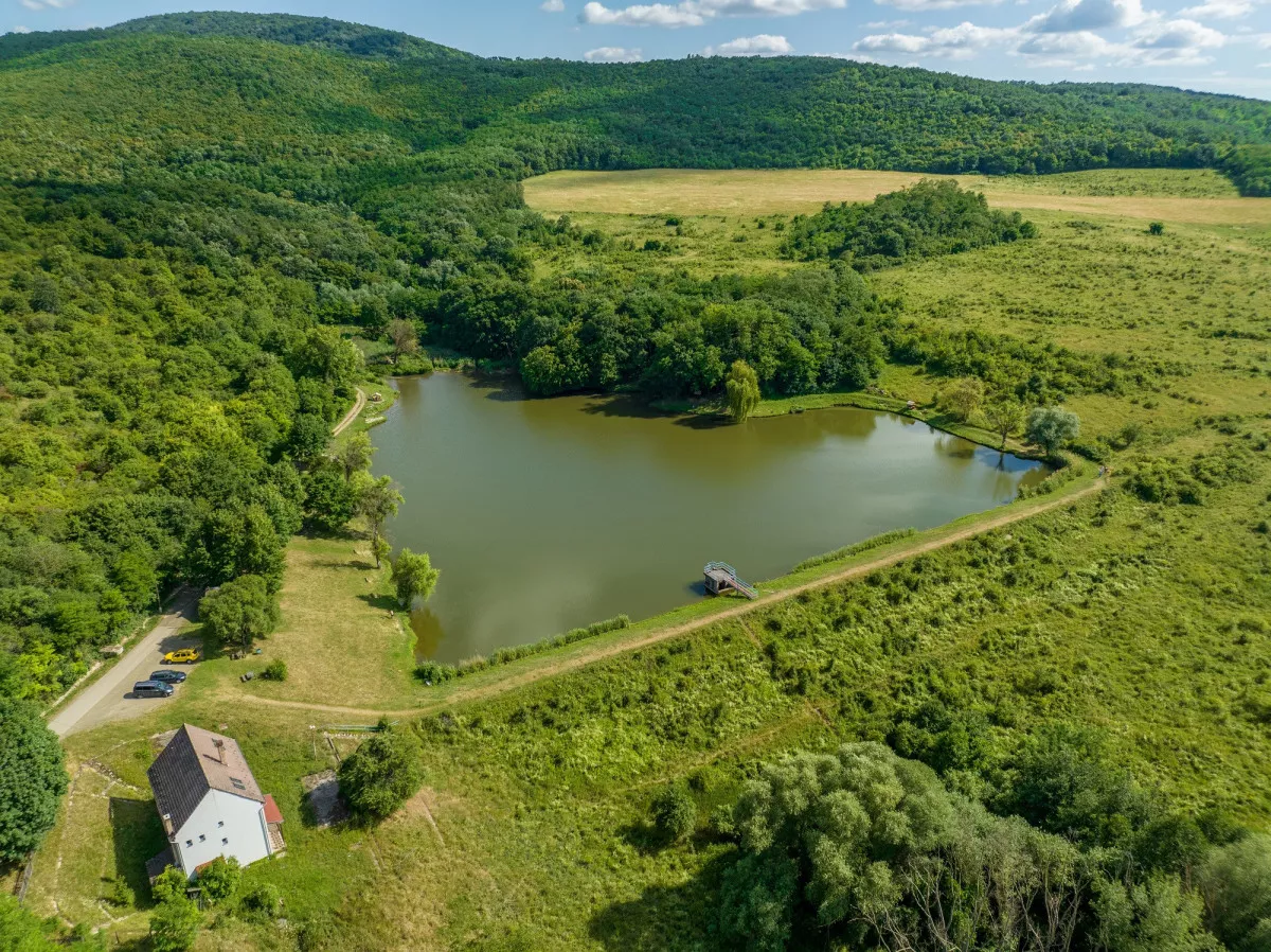 Nagybörzsöny látnivalók - Horgásztó (Nagybörzsöny)