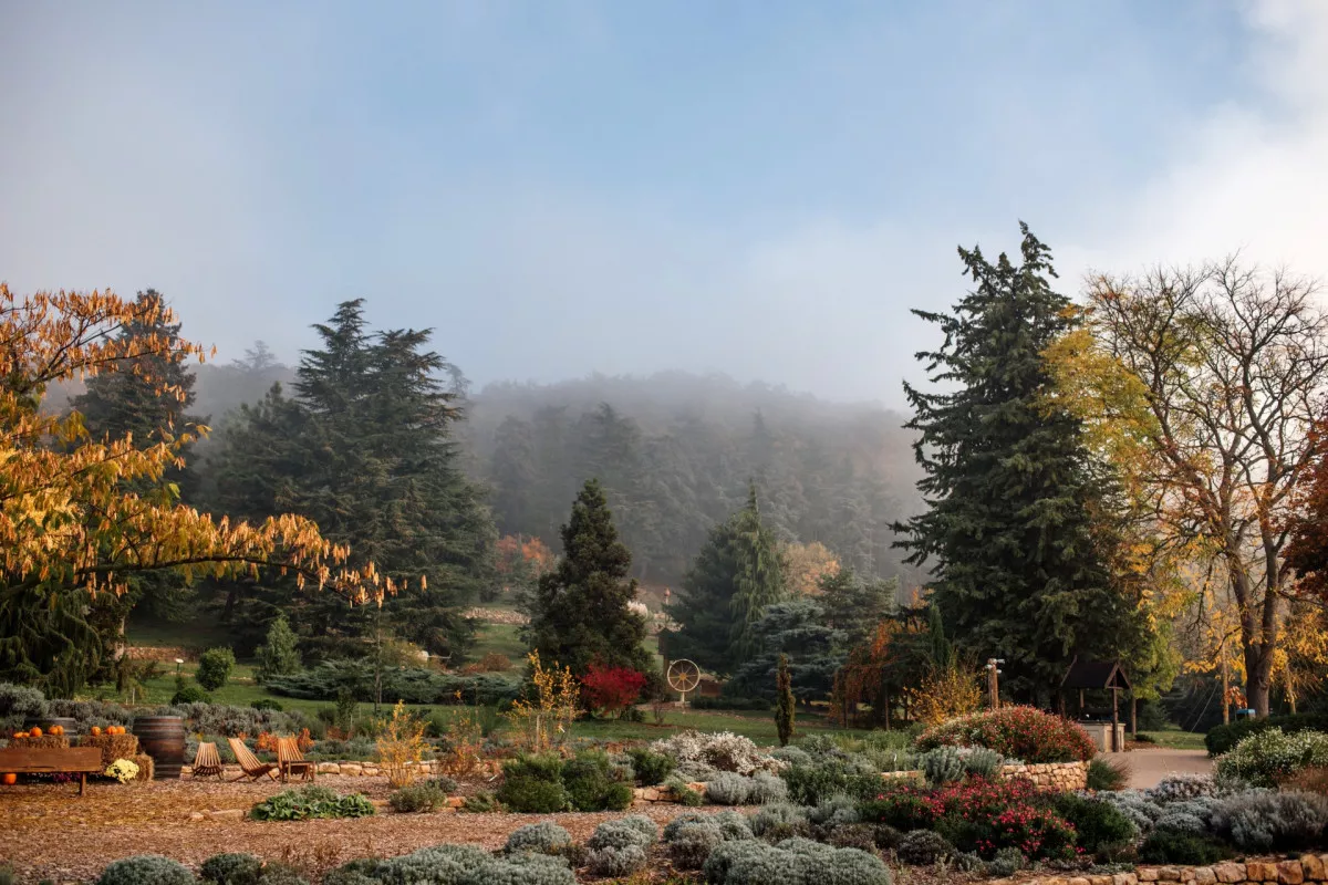 7+1 arborétum Magyarországon, amitől tátva marad a szátok - Fotó: Folly Arborétum