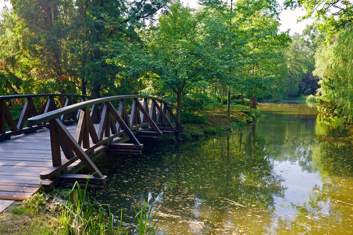 7+1 arborétum Magyarországon, amitől tátva marad a szátok - Nemzeti Botanikus Kert 