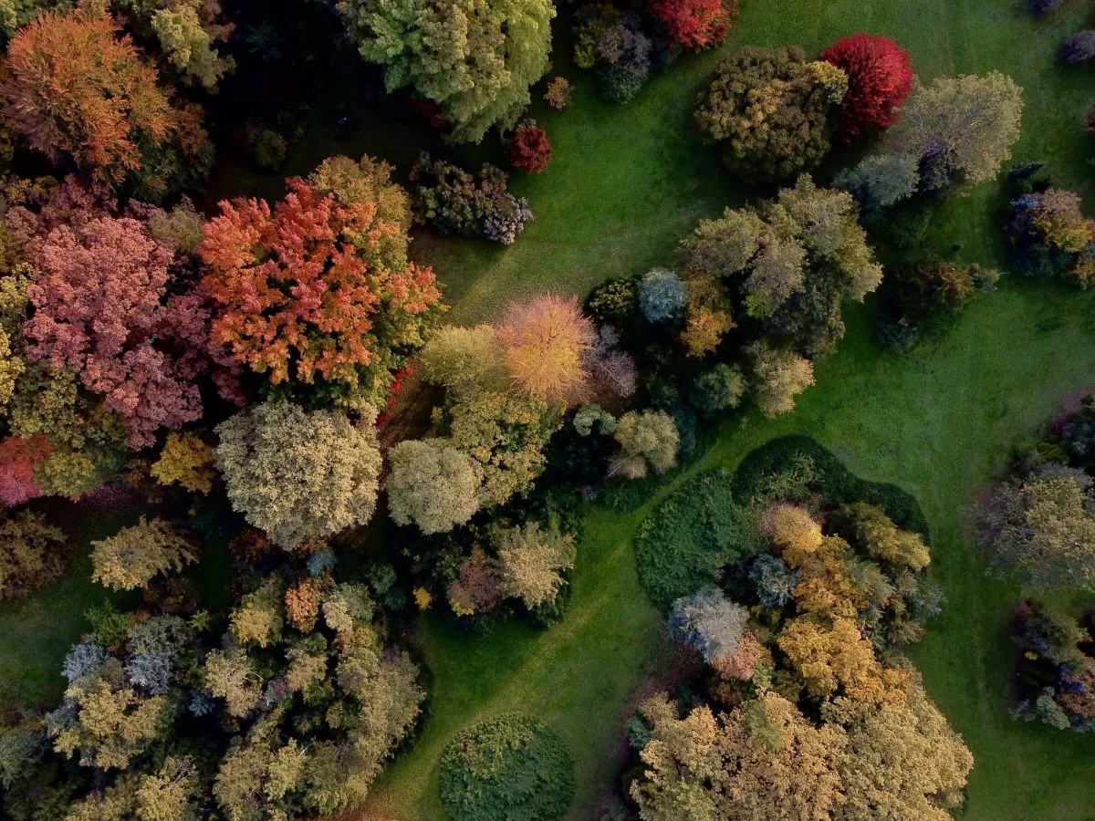 7+1 arborétum Magyarországon, amitől tátva marad a szátok - Fotó: Szarvasi Arborétum