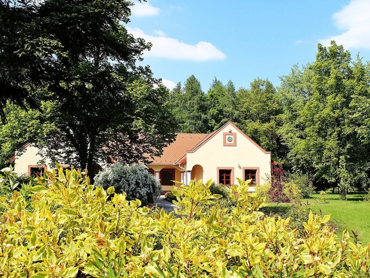 7+1 arborétum Magyarországon, amitől tátva marad a szátok - Fotó: Jeli Arborétum