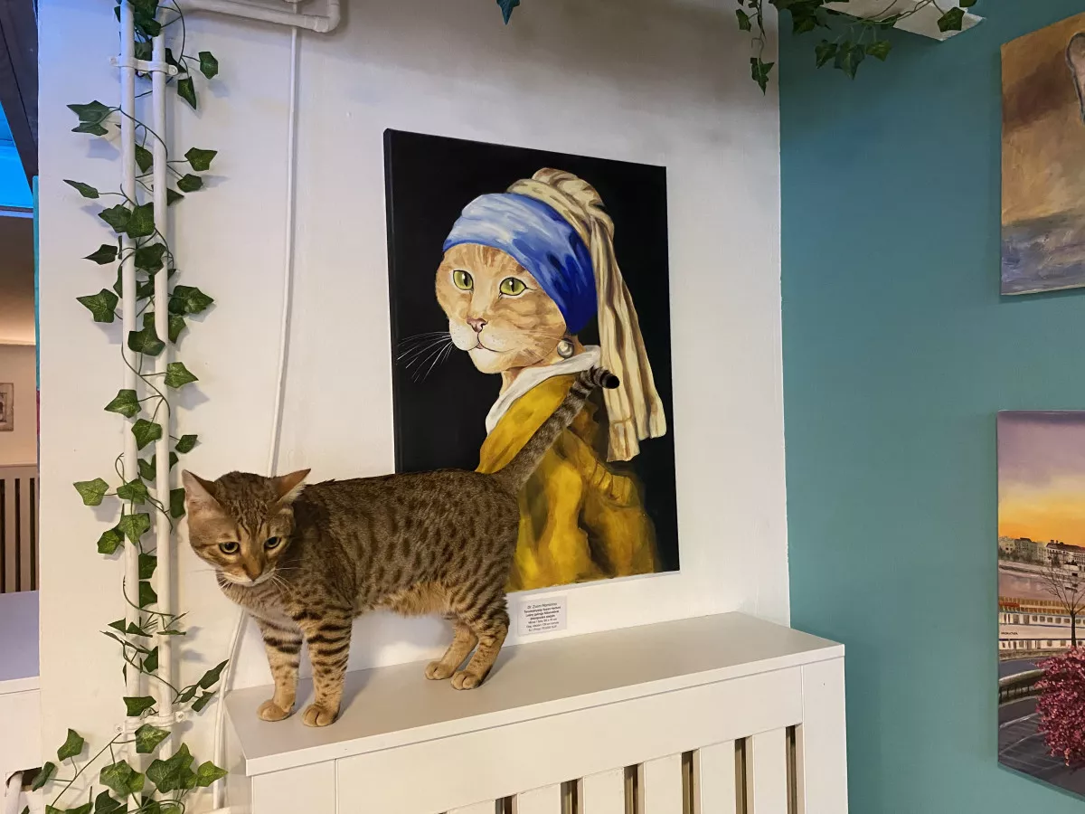 Cat Museum Budapest - Szimba