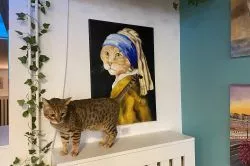 A budapesti Cat Museumban jártunk